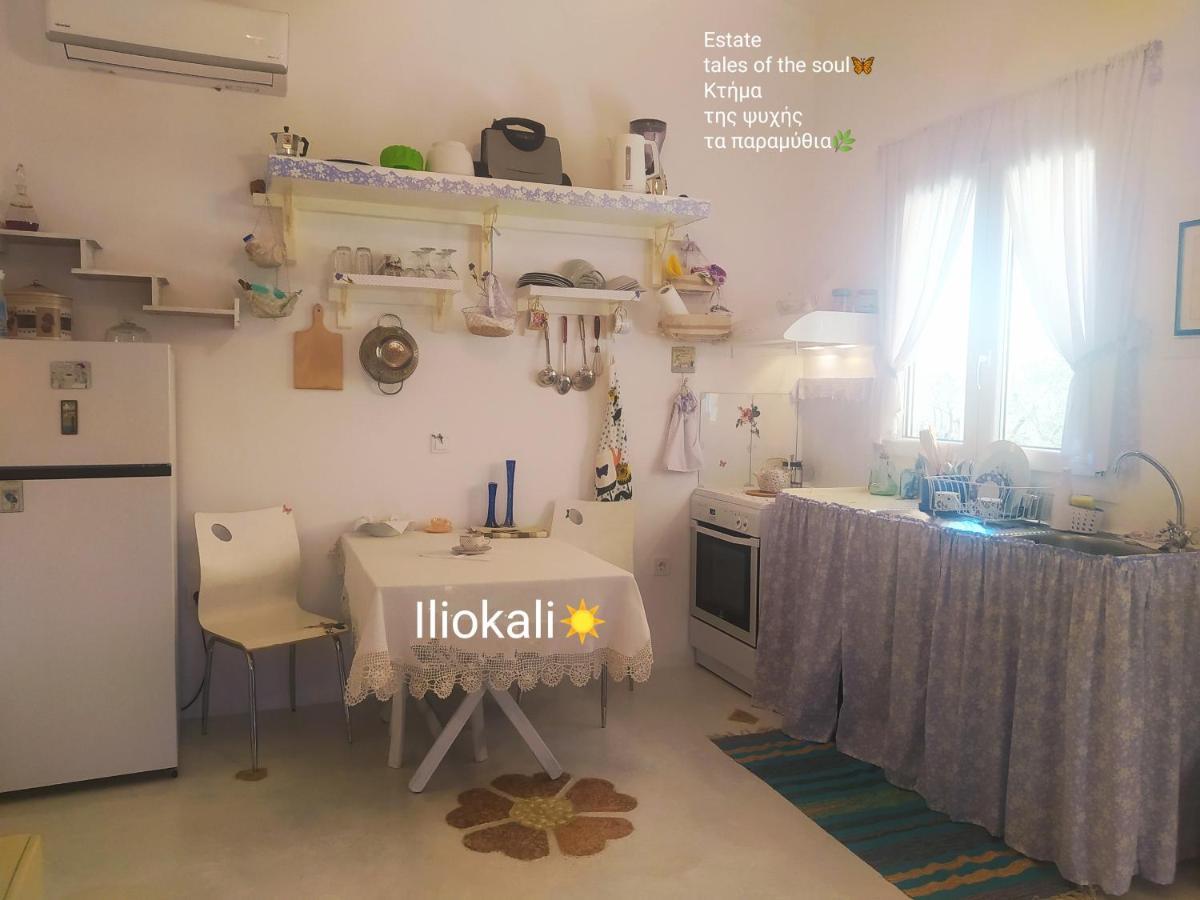 Bungalows With Private Pools "Tales Of The Soul - Της Ψυχής Τα Παραμύθια" Anemochori Экстерьер фото