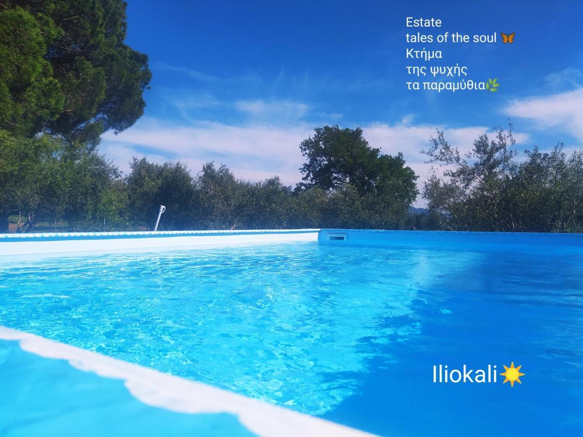 Bungalows With Private Pools "Tales Of The Soul - Της Ψυχής Τα Παραμύθια" Anemochori Экстерьер фото